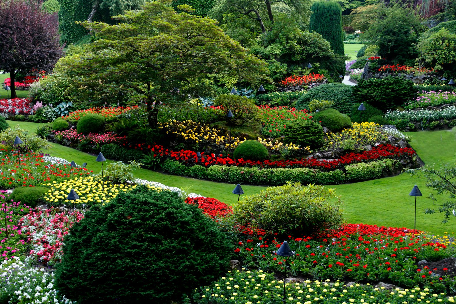 Garden Image